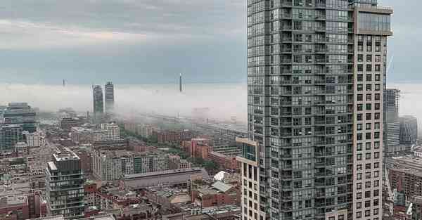 国际摄影协会官网_国际摄影协会摄影马甲