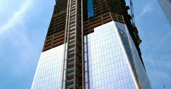 最简单的昆虫摄影活动