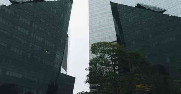 摄影活动记录_摄影活动目的